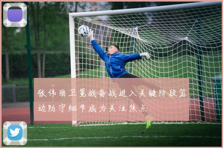 张伟丽卫冕战备战进入关键阶段笼边防守细节成为关注焦点