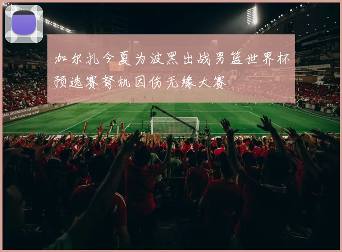 加尔扎今夏为波黑出战男篮世界杯预选赛弩机因伤无缘大赛