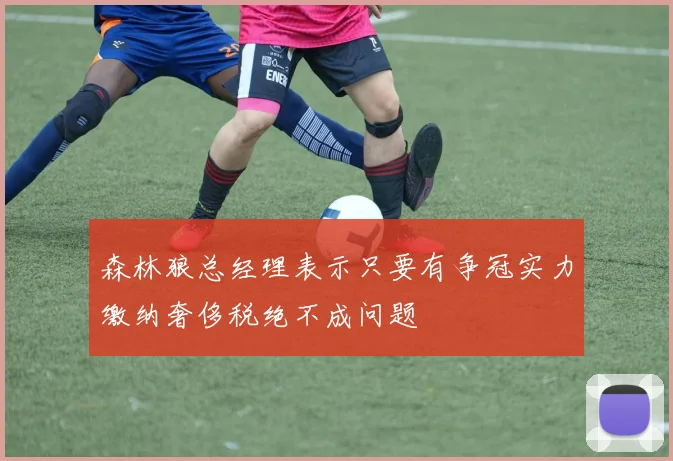 森林狼总经理表示只要有争冠实力缴纳奢侈税绝不成问题
